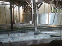 Jakarta Farm 1