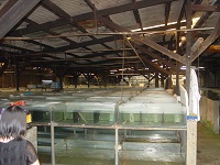 Jakarta Farm 8
